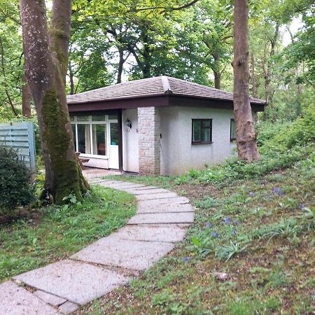 Woodland Retreat Villa Uny Lelant Exterior photo