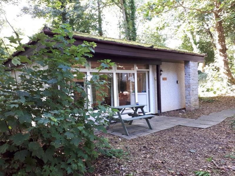 Woodland Retreat Villa Uny Lelant Exterior photo